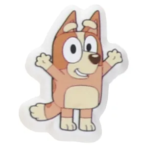 Jibbitz Bluey Bingo